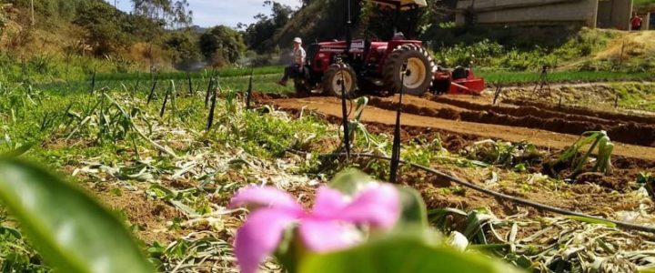 COLATINA: Prazo para Declaração do ITR 2025 termina no dia 30 de setembro