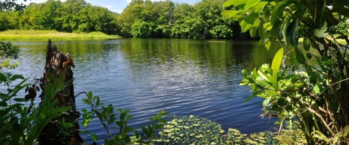 Aprovada mudança em regras para licenciamento ambiental no ES Aprovada mudança em regras para licenciamento ambiental no ES