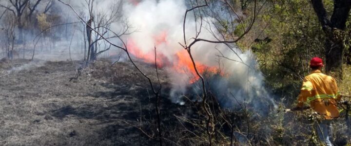 Mais de 80% dos focos de calor em SP estão em áreas de agropecuária