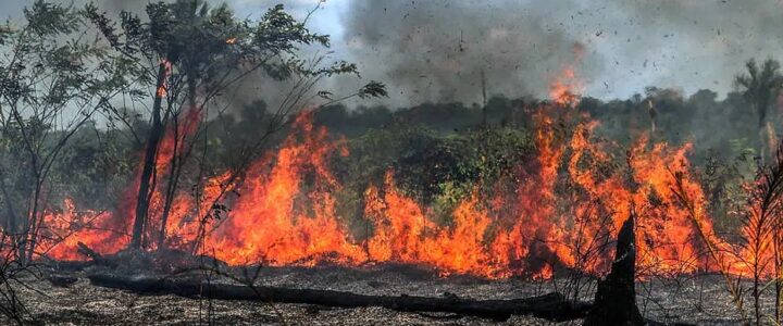 Estudo atualizado pela CNM mostra que mais de 11 milhões de pessoas foram diretamente afetadas por incêndios
