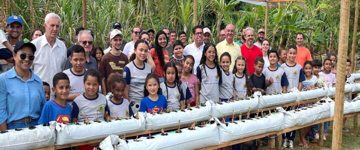 Morangos: produção ganha estufas em Colatina