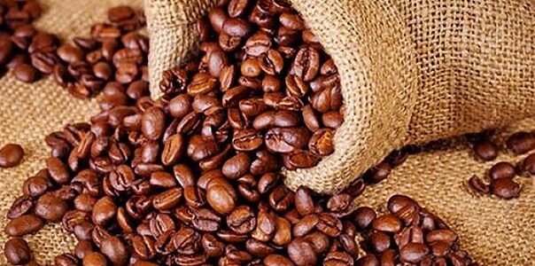 Setor cafeeiro pode ser forçado a redirecionar produção, diz Cepea/USP