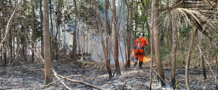 Focos de incêndio em vegetações no norte do ES mais que duplicaram nos dois primeiros meses de 2025