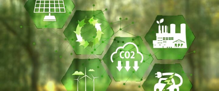 Espírito Santo pode se tornar referência nacional em captura de carbono 