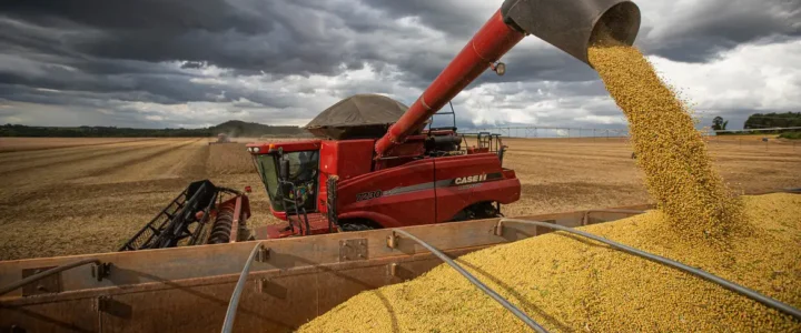 Após primeiras colheitas, Conab confirma estimativa de safra recorde