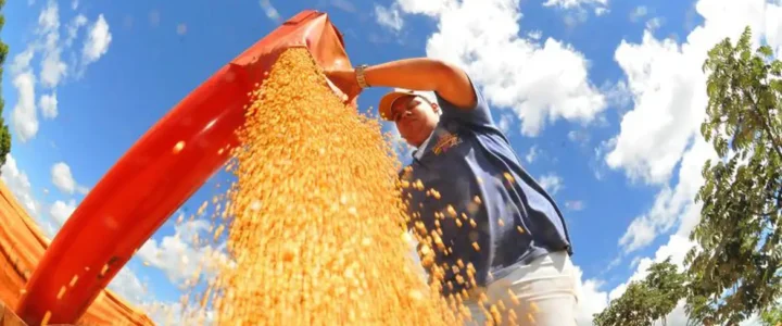 Crédito do BNDES para Plano Safra se aproxima de R$ 30 bilhões