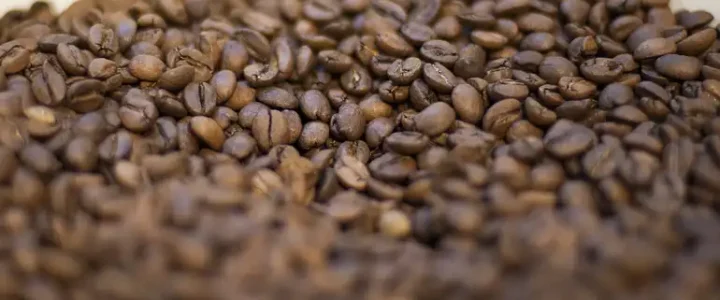 Dia Nacional do Café: Pesquisa revela que sabor e qualidade são fatores decisivos para 67% dos consumidores