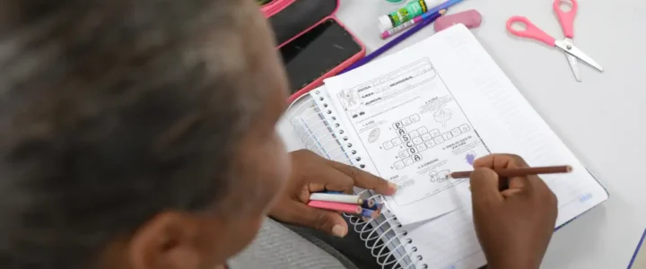 Taxa de alfabetização chega a 93% da população brasileira, revela IBGE