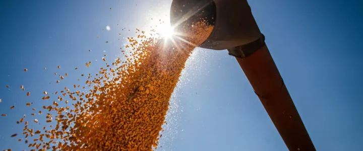 Brasil poderá ter novo recorde na produção de grãos na safra 2024/2025 Brasil poderá ter novo recorde na produção de grãos na safra 2024/2025