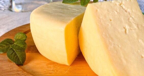 Queijos capixabas conquistam medalhas de ouro no VIII Prêmio Queijo Brasil