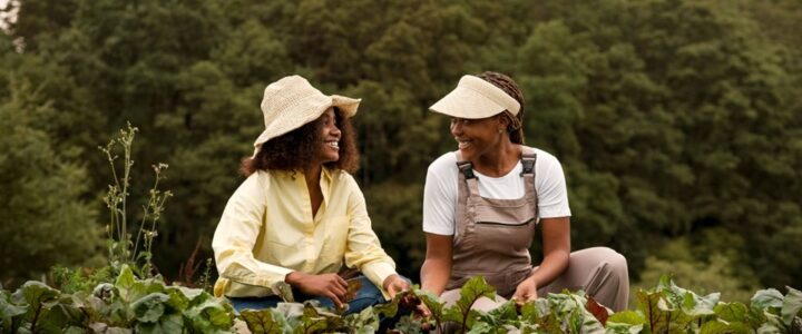 Espírito Santo bate recorde histórico em crédito rural e já planeja nova safra Espírito Santo bate recorde histórico em crédito rural e já planeja nova safra