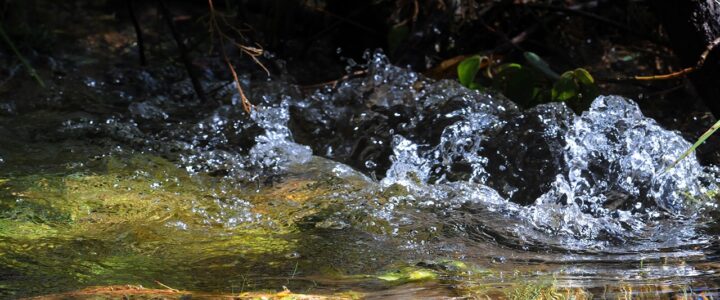 Comissão da Ales discute recuperação de nascentes em área rural