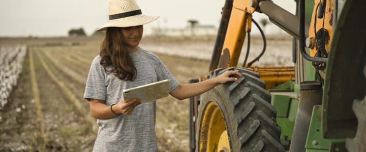 ES poderá ter programa de apoio à juventude rural