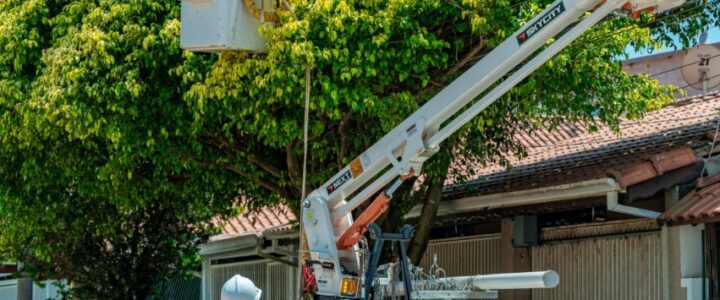 EDP realiza mutirão de melhorias nas redes de distribuição em Linhares