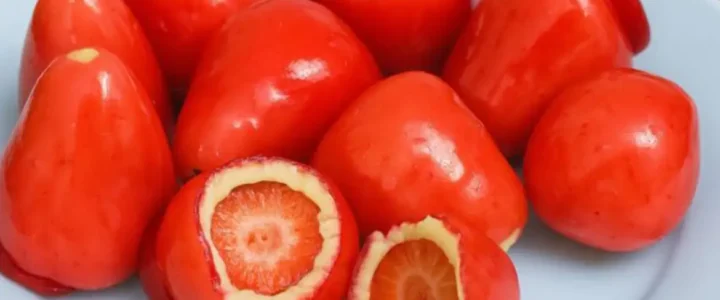 Conselho Federal de Odontologia alerta sobre riscos do morango do amor