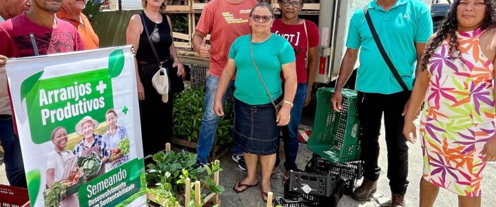 Arranjos Produtivos completa dois anos e alcança 20 mil agricultores