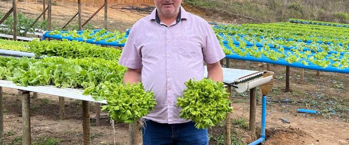 Hortas com hidroponia geram oportunidades em Vila Valério