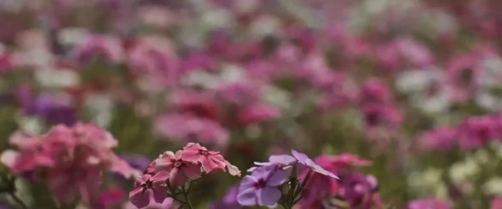 Primavera começa com chegada de frente fria, temporais e fortes ventos