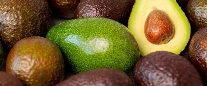 ES se consolida como 4º maior produtor de abacate do Brasil e dobra valor da produção em um ano