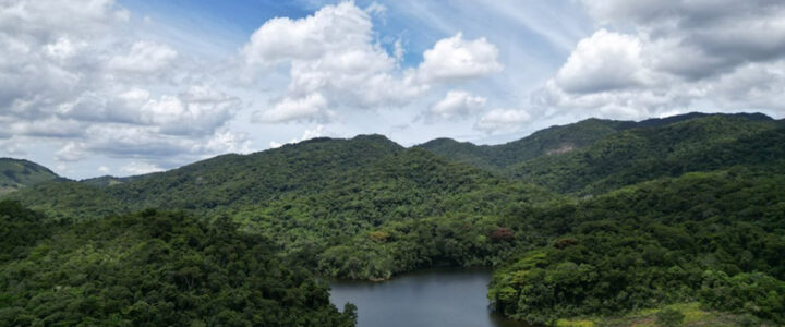 Governo do ES cria licença ambiental especial para empreendimentos