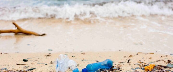 Bahia e Espírito Santo lideram poluição por microplásticos no litoral brasileiro