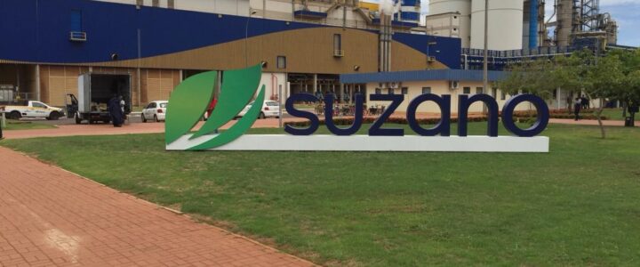 Suzano registra recorde de vendas e ganho de eficiência operacional em 2025 Suzano registra recorde de vendas e ganho de eficiência operacional em 2025
