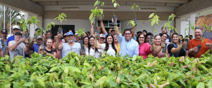 Ales lança modelo inédito no país e leva crédito de carbono à agricultura familiar