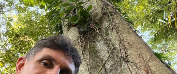 Natureza agradece: Empresário cria sombra, vida e exemplo na orla de Vitória e planta árvores em área de 4.000 metros de sua empresa