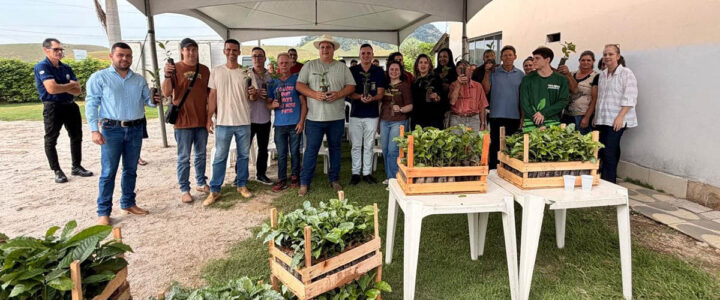 Arranjos Produtivos entrega 10 mil mudas de café em Alfredo Chaves
