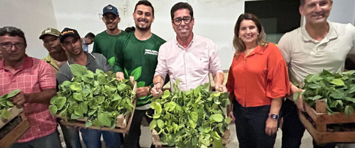 Arranjos Produtivos entrega mudas de banana e pimenta no norte