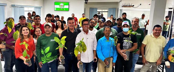 Arranjos Produtivos entrega 6,2 mil mudas de cacau em Alto Rio Novo