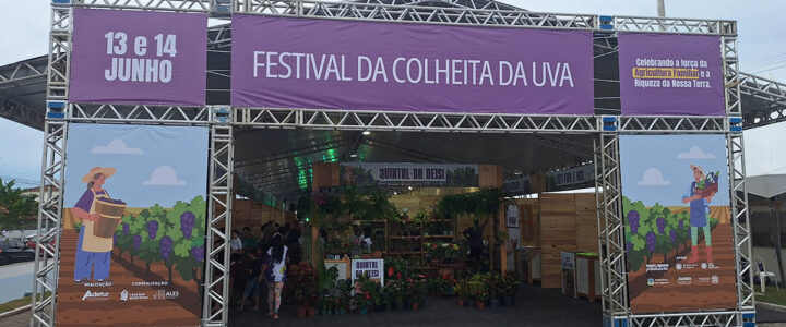 Festival da uva reúne 5 mil em Jaguaré, terra do café e da pimenta
